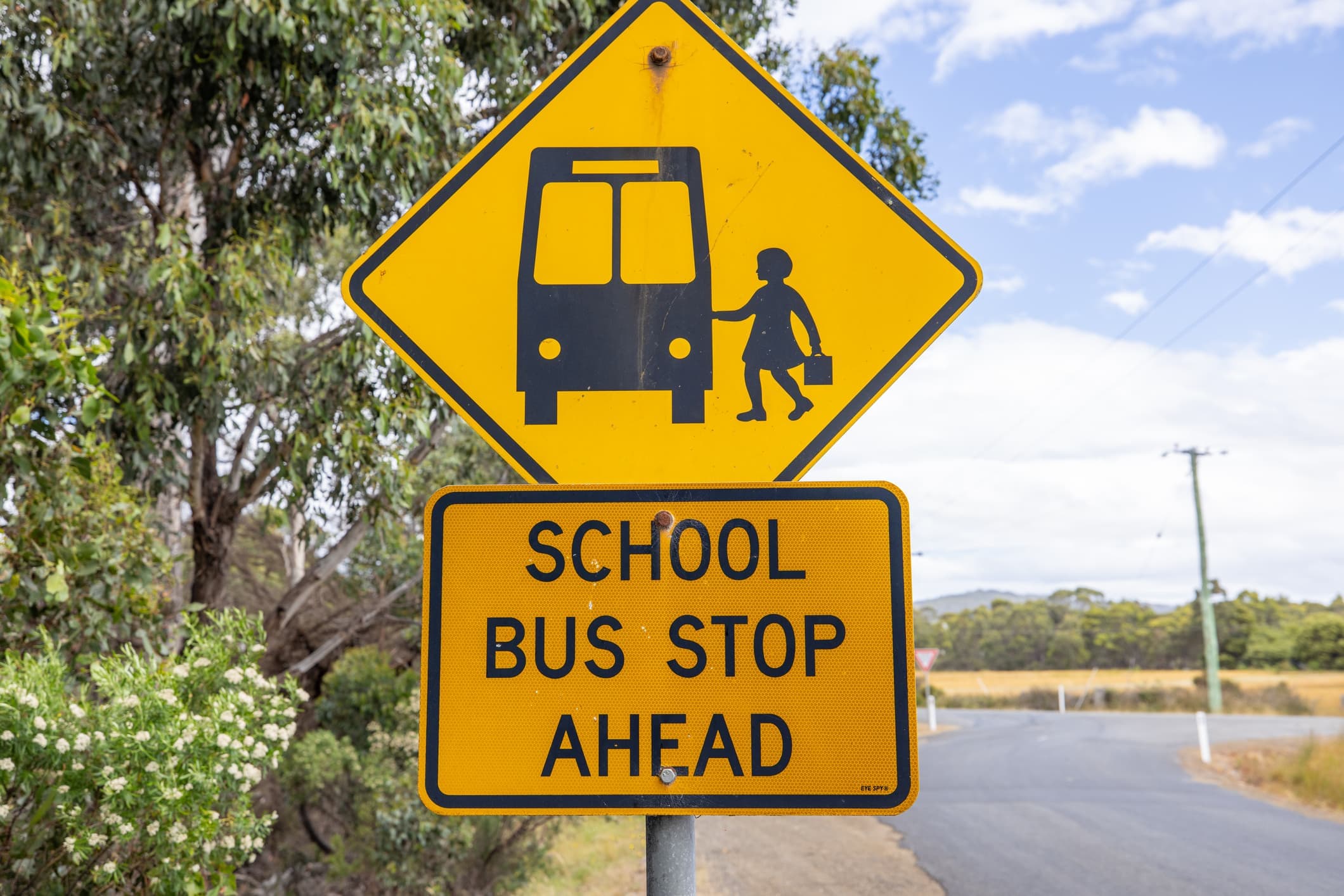 School bus sign in Texas