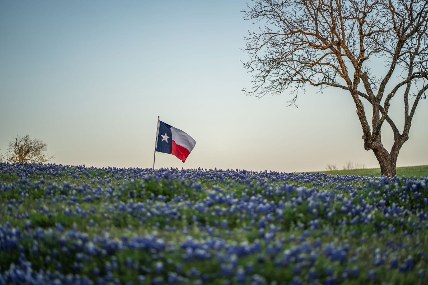 Texas landscape